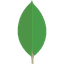 MongoDB